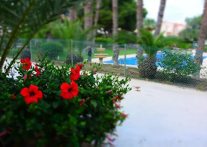 Palmeras, Piscina, Campo De Futbol Y Jardin Privados
