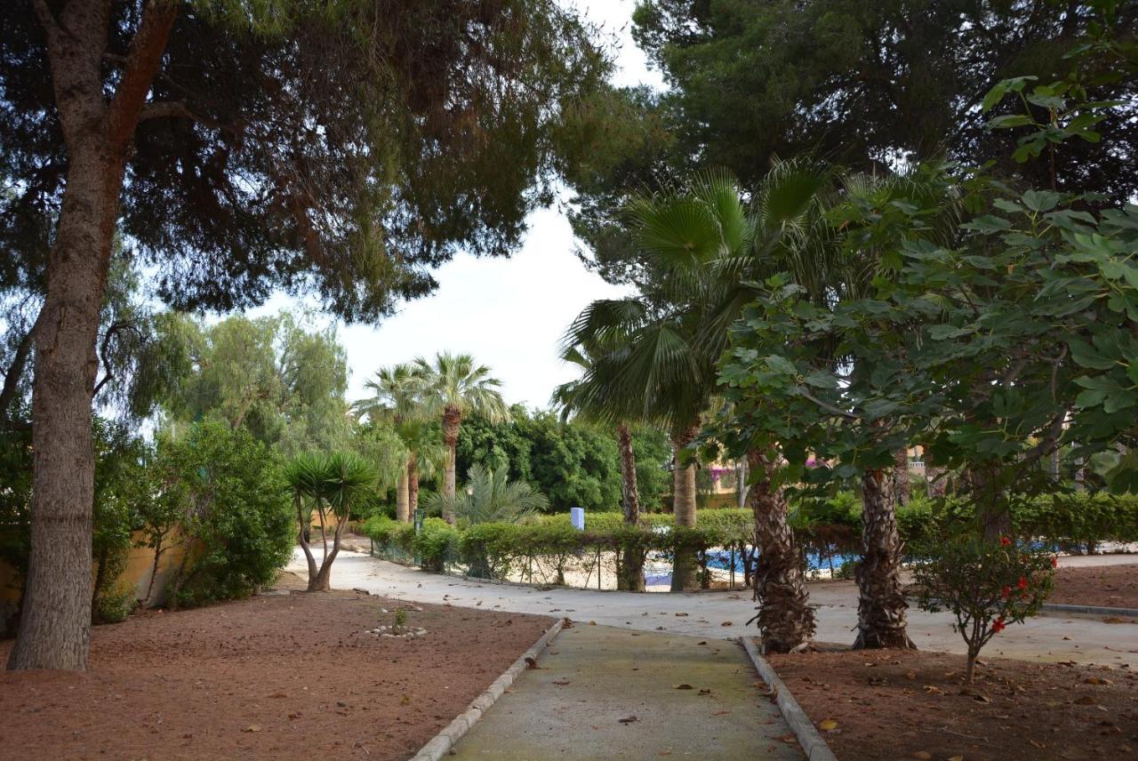 Palmeras, Piscina, Campo De Futbol Y Jardin Privados Hébergement de vacances Mazarrón