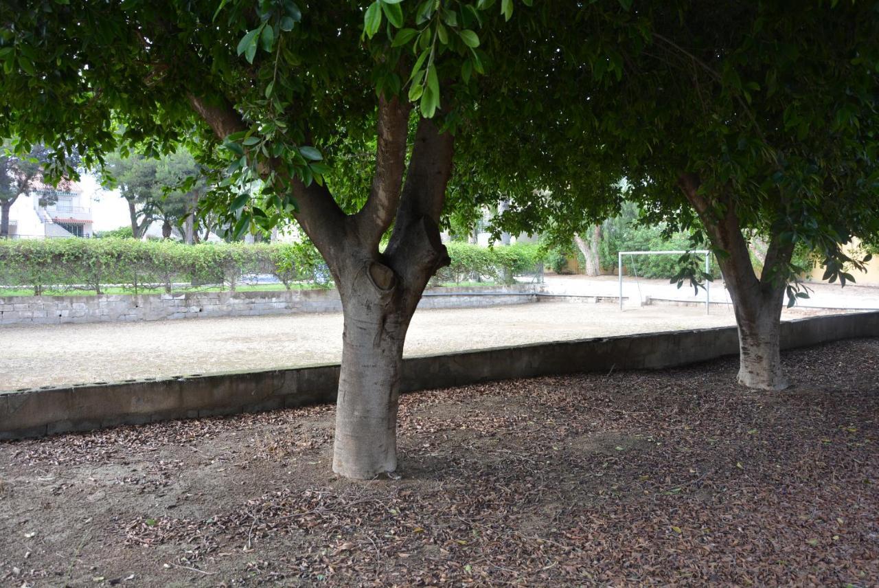 Palmeras, Piscina, Campo De Futbol Y Jardin Privados Hébergement de vacances
