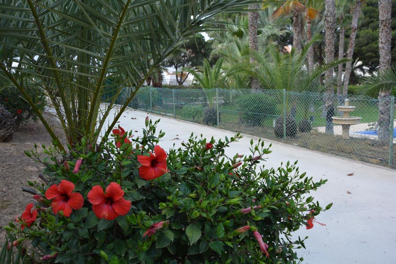 Hébergement de vacances Palmeras, Piscina, Campo De Futbol Y Jardin Privados