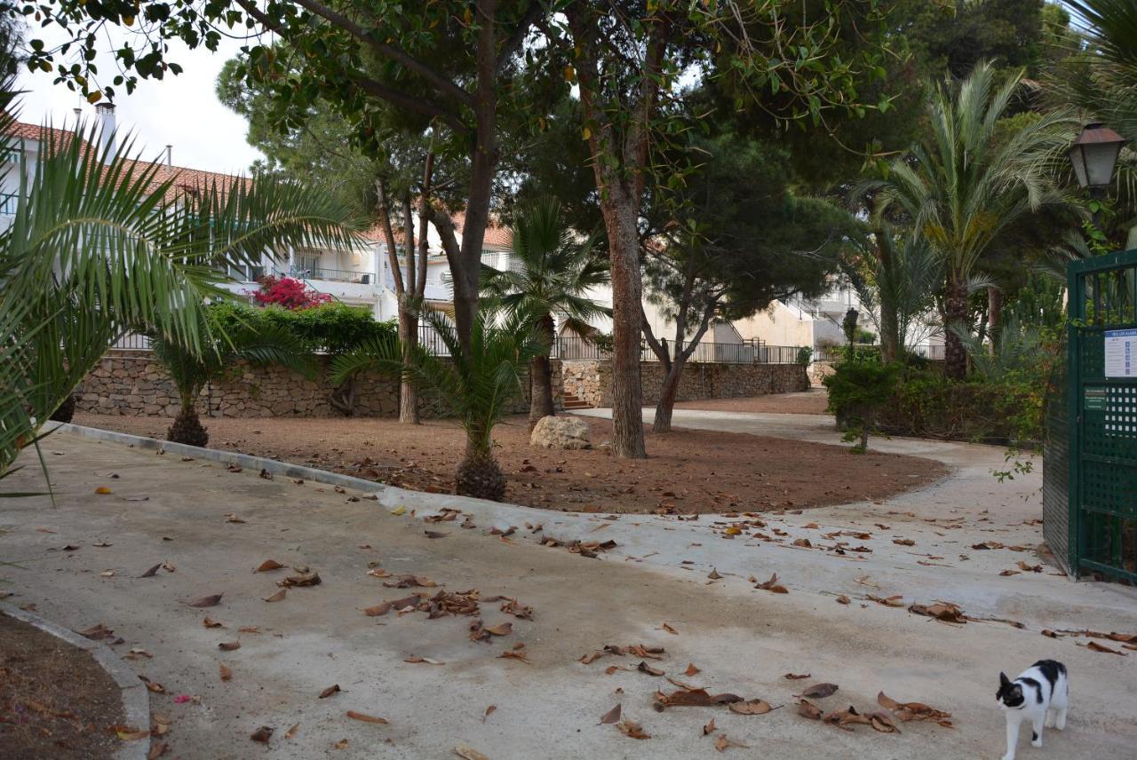 Palmeras, Piscina, Campo De Futbol Y Jardin Privados *