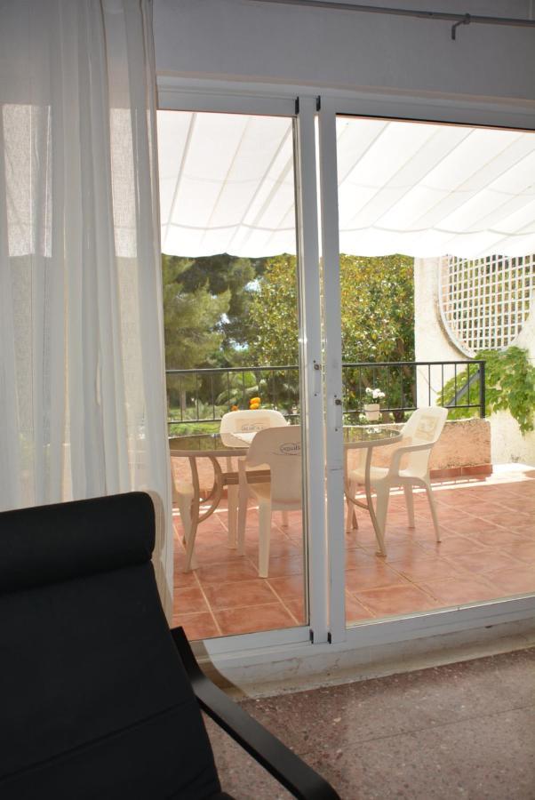 Palmeras, Piscina, Campo De Futbol Y Jardin Privados *