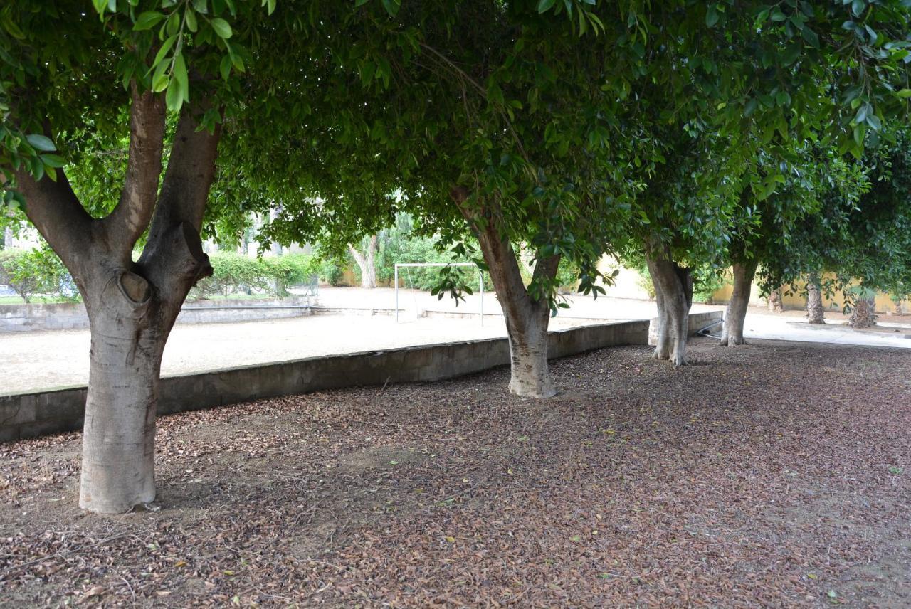 Palmeras, Piscina, Campo De Futbol Y Jardin Privados *