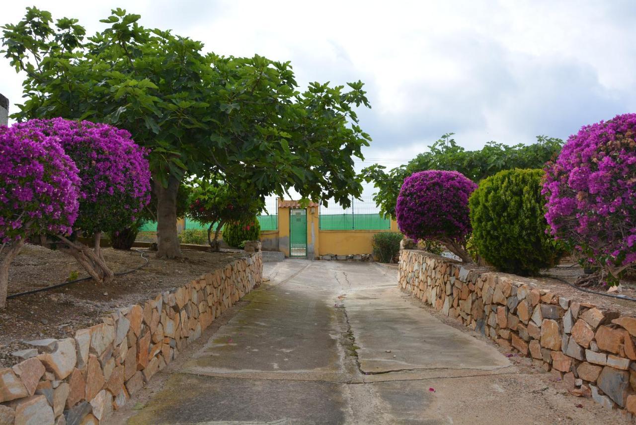 Palmeras, Piscina, Campo De Futbol Y Jardin Privados Hébergement de vacances *