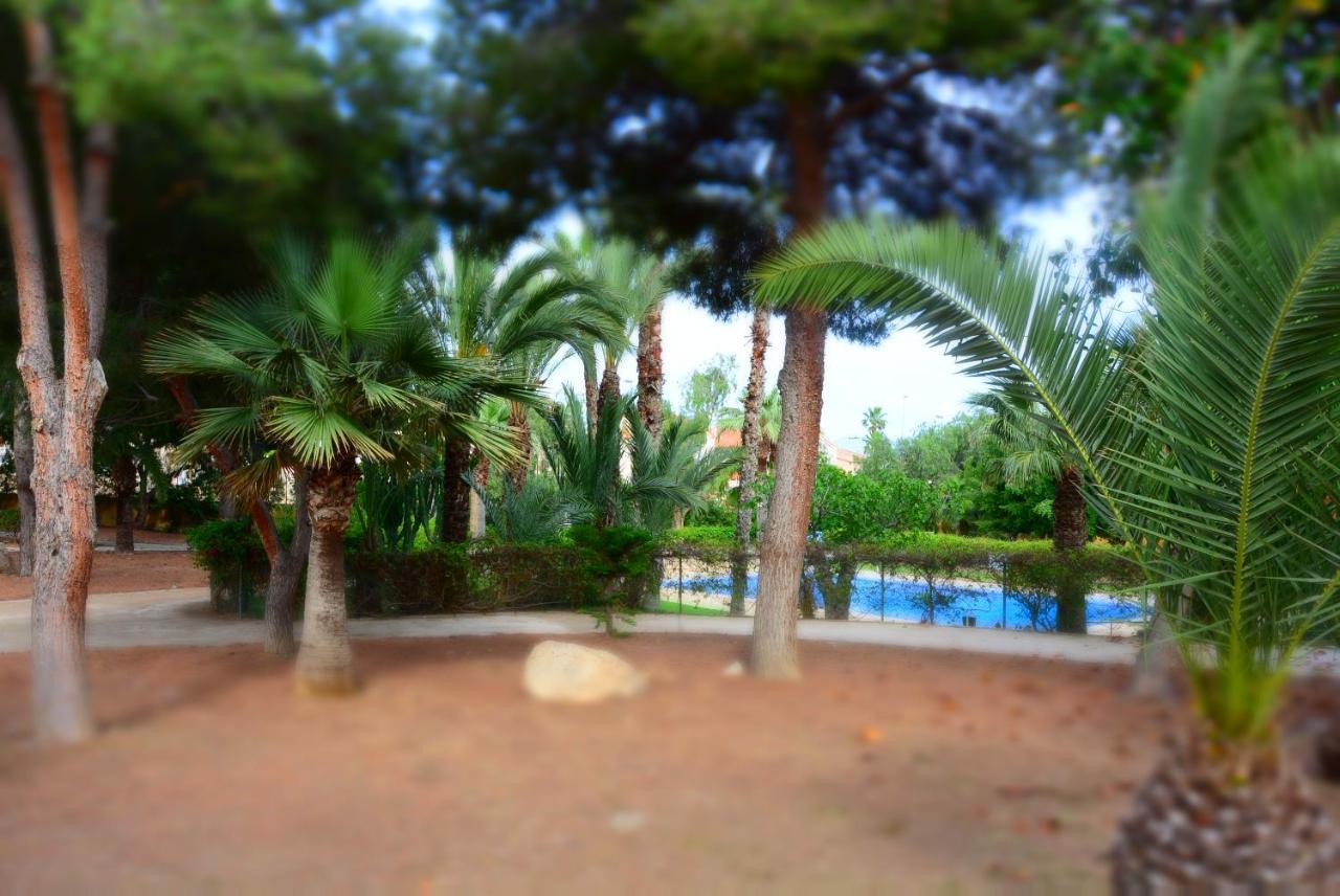 Palmeras, Piscina, Campo De Futbol Y Jardin Privados Mazarrón