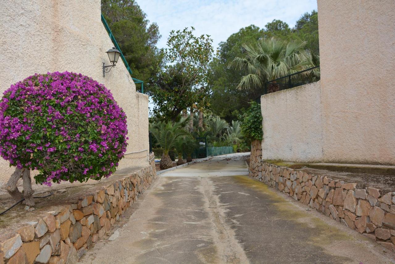 Palmeras, Piscina, Campo De Futbol Y Jardin Privados