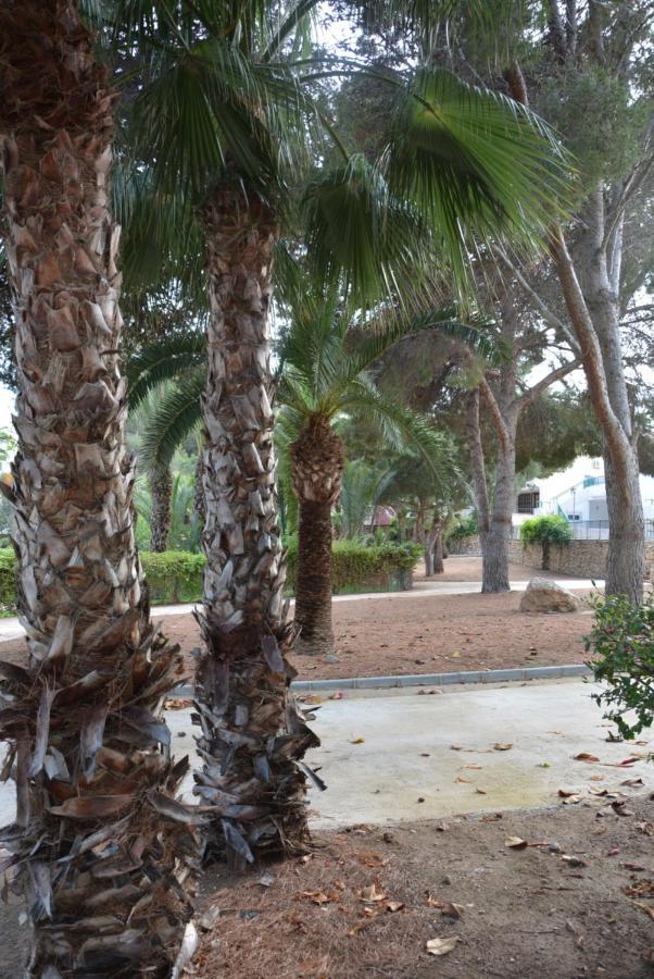 Palmeras, Piscina, Campo De Futbol Y Jardin Privados Casa vacanze *
